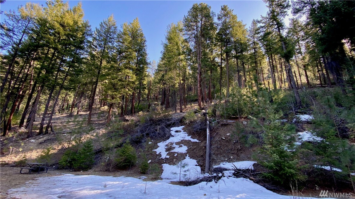 Property Photo:  0 Entiat River Rd  WA 98822 