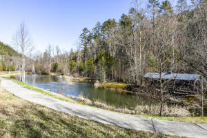 Property Photo:  144 Anatole  TN 37882 