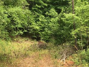 Property Photo:  112 Scenic Drive  TN 37748 