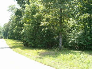 Woods Lane, Lot 31  Kingston TN 37763 photo