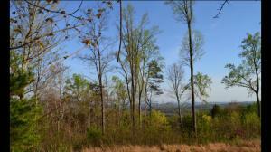 Property Photo: Waverly Circle TN 37721
