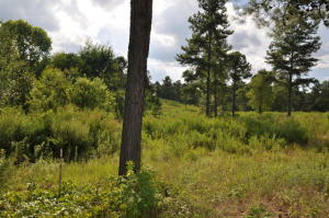 Property Photo:  Ward Rd  TN 37774 