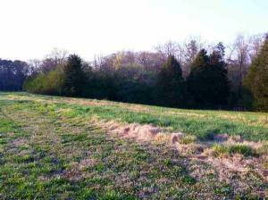 Property Photo:  Lot 36 County Road 7030  TN 37303 