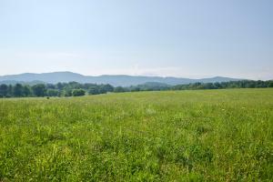 Property Photo:  Lot 5 Chilhowee View Rd  TN 37803 