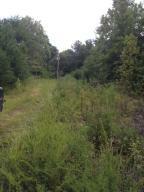 2.84 Ac Wasson Road  Ten Mile TN 37880 photo