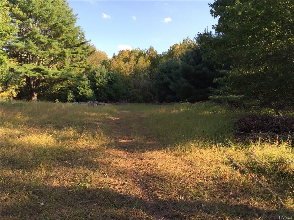 Dryer Road Tr 29  Fallsburg NY 12733 photo