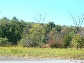 Property Photo:  Nys Rte 94  NY 10914 