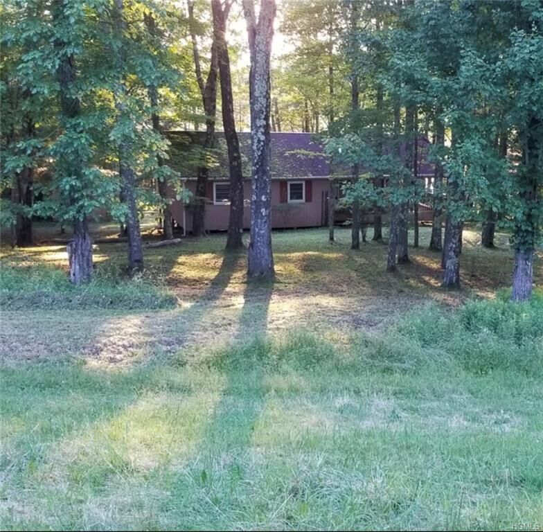 Property Photo:  3171 Nys Hwy 55  NY 12720 