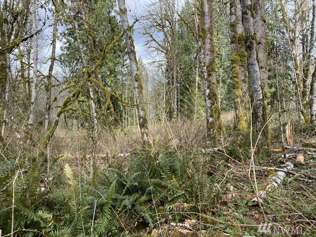 Property Photo: 416 Young Rd WA 98564