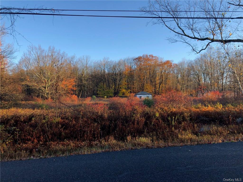 91 Whittaker Road  Monticello NY 12701 photo