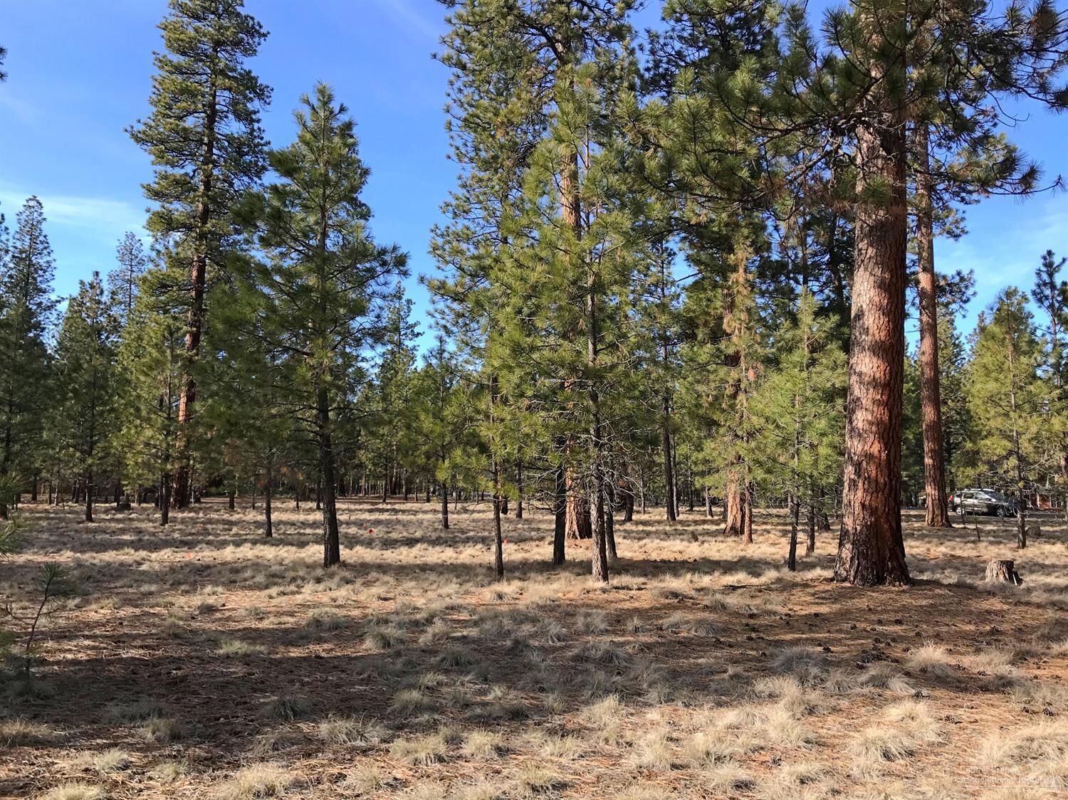 Property Photo: 14567 Crossroads Loop OR 97759