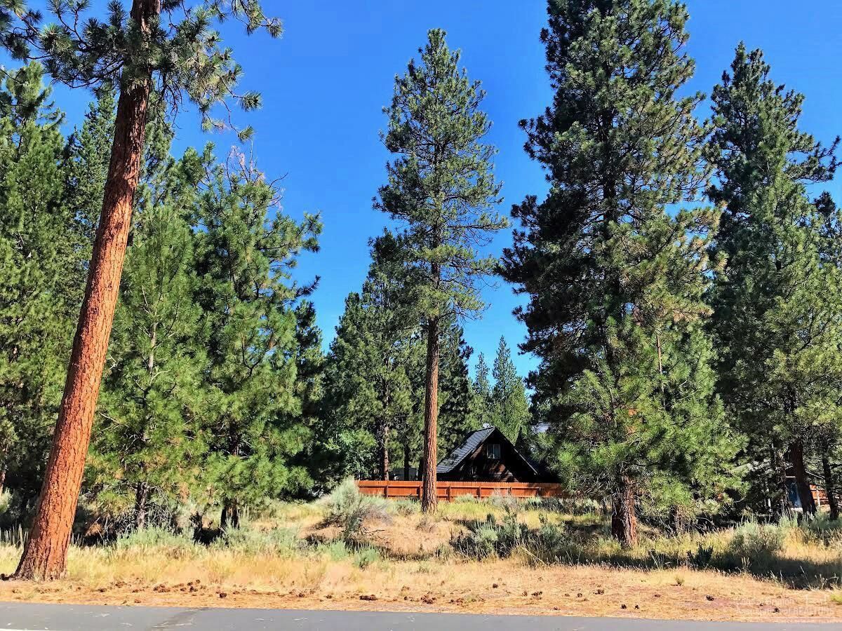 Property Photo: 396 E Tyee Drive OR 97759