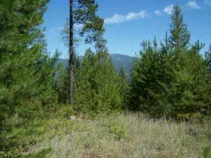 Property Photo:  Lot 9 Greenhouse Rd  WA 99139 