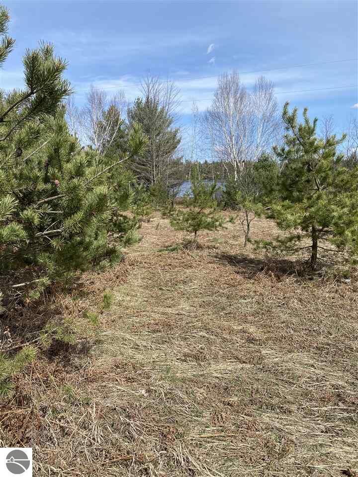 Property Photo: 28 Lakes Park Pioneer Drive Lot 3 MI 49646