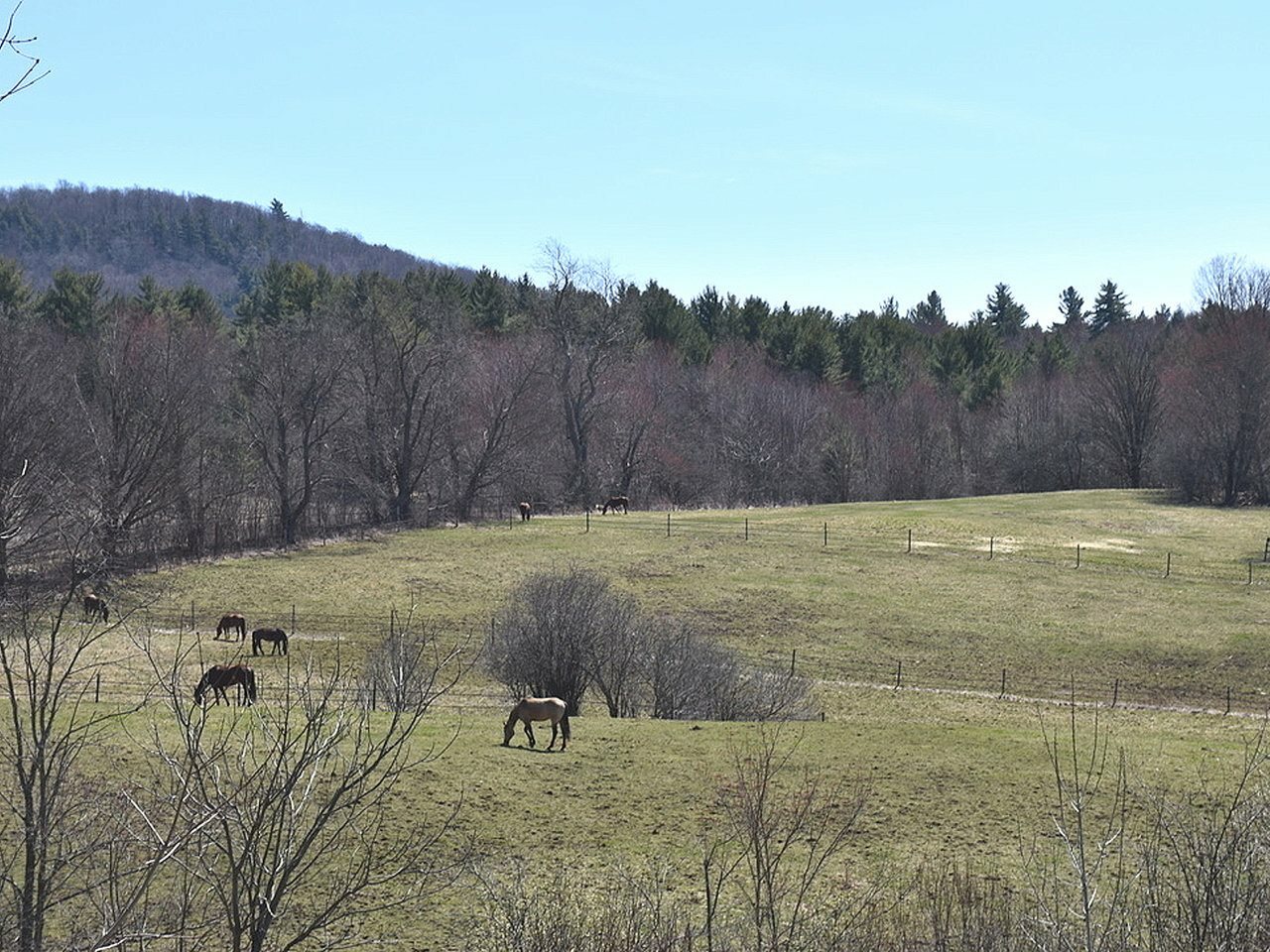 Property Photo:  1041 Buck Hollow Road  VT 05454 