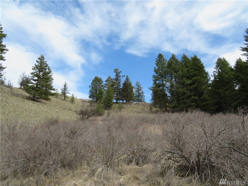 Property Photo:  36,37,38 Union Ridge Rd  WA 99166 