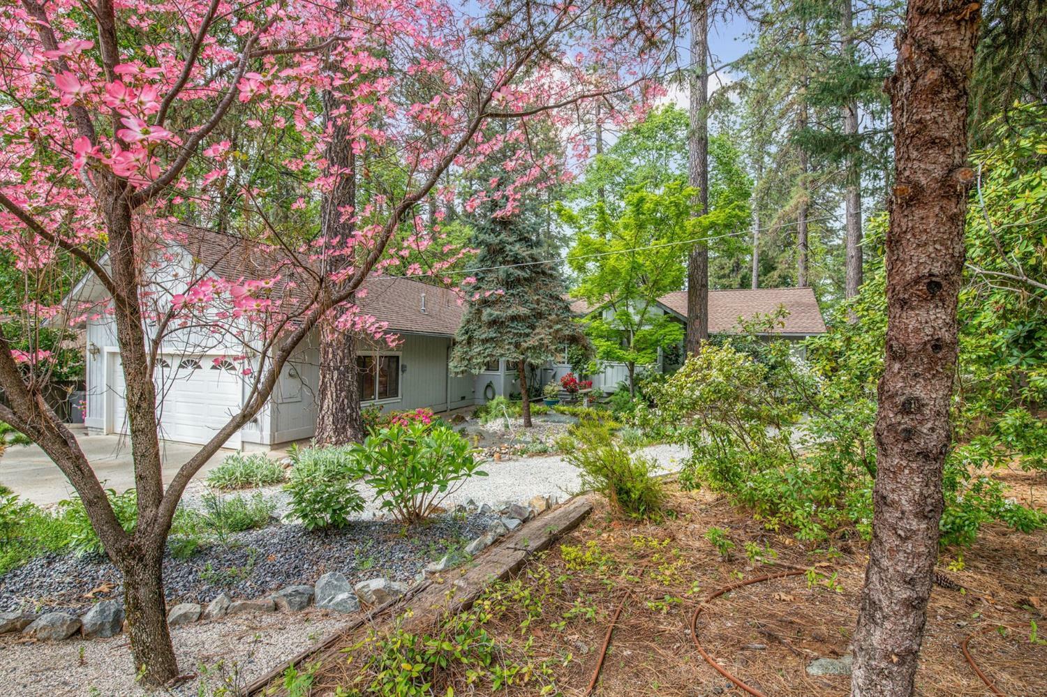Property Photo: 12040 Hanley Drive CA 95949