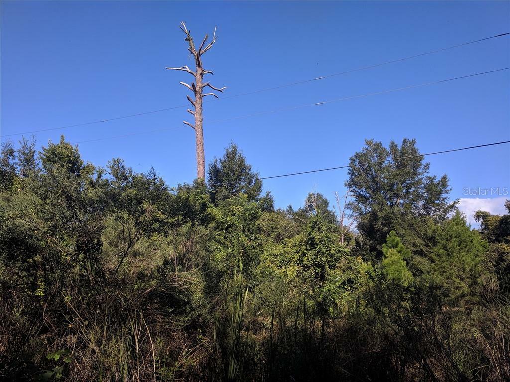 Property Photo: Dee Street FL 32736
