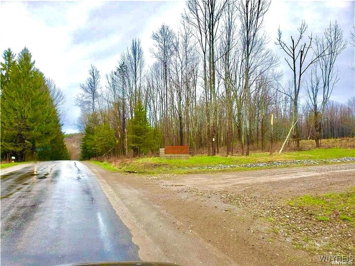 Property Photo: 1 Trail Heights NY 14731