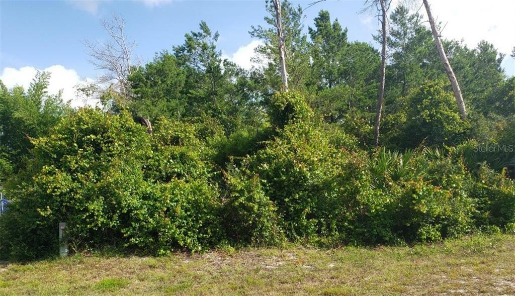 Property Photo:  3172 Riverhead Drive  FL 32738 