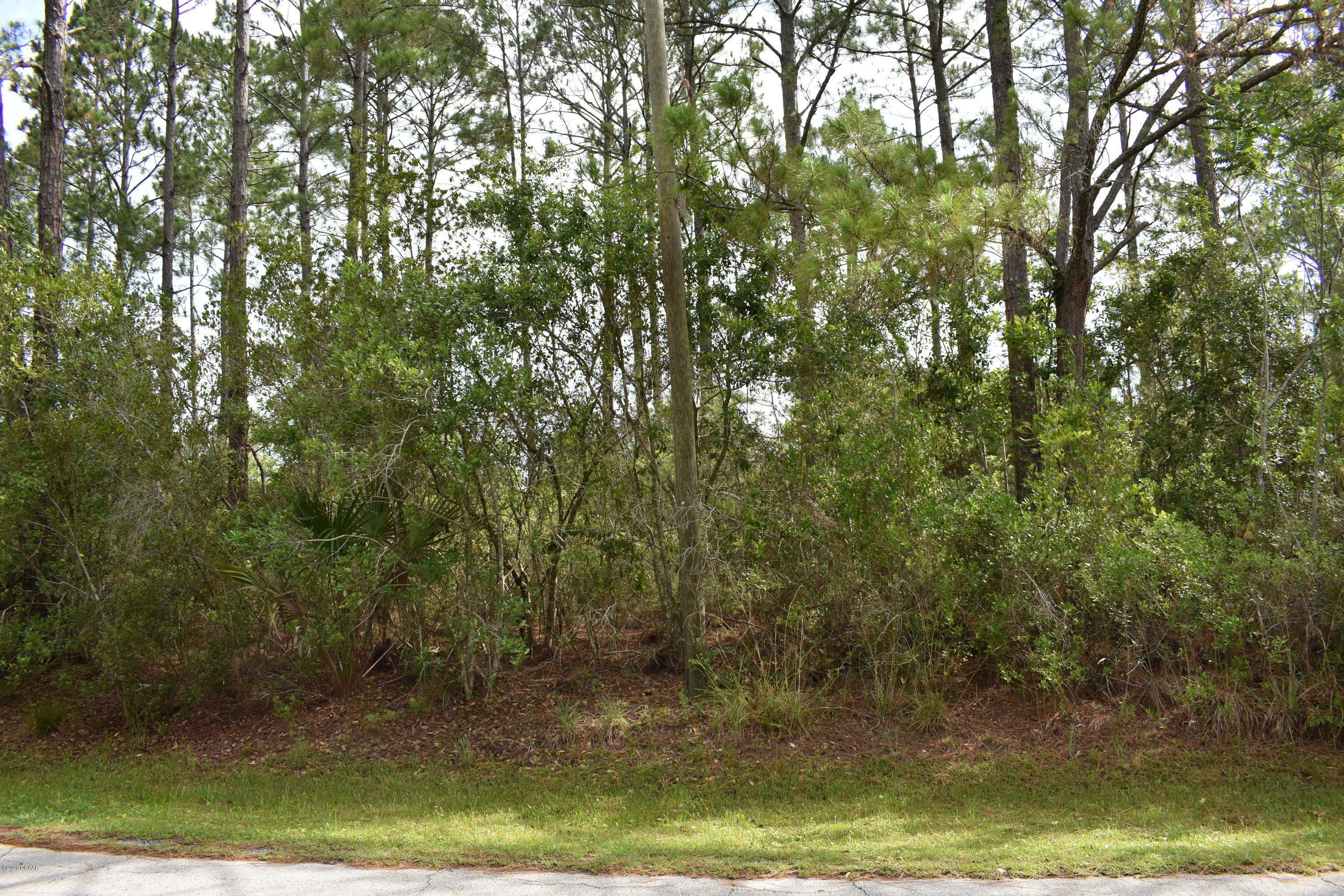 Property Photo:  34 Red Birch Lane  FL 32164 