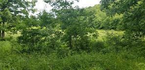 Property Photo:  Lot 203 Pfeifer Rd (Creekwood Fields)  PA 16037 