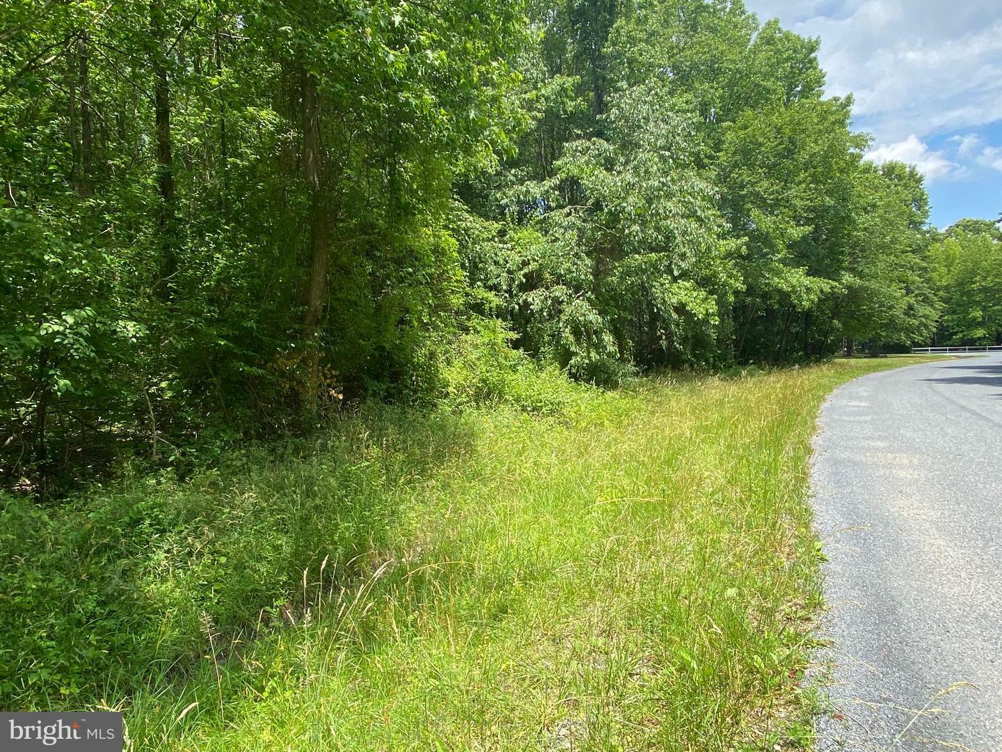 Property Photo: Lot 269 &Amp 270 Berwyn Road MD 21620
