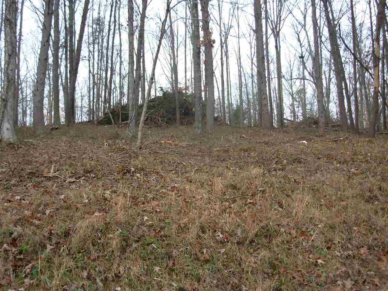 Property Photo:  Lot 28 County Road 26  TN 37309 