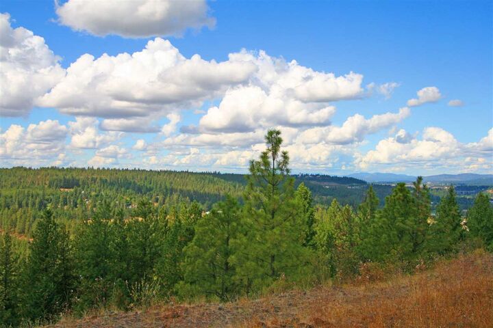 5284 S Falcon Point Ct  Spokane WA 99224 photo