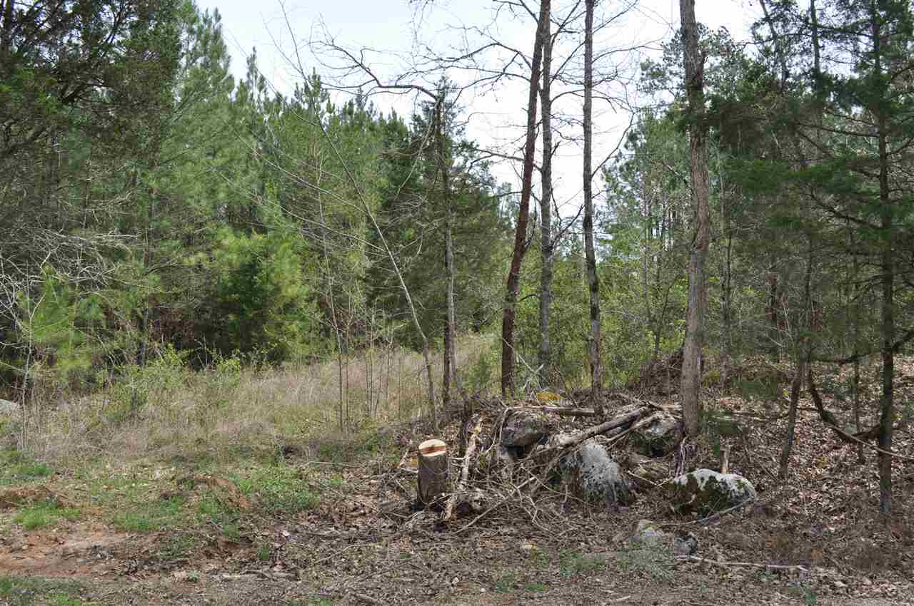 Property Photo: 00 County Road 752 TN 37370