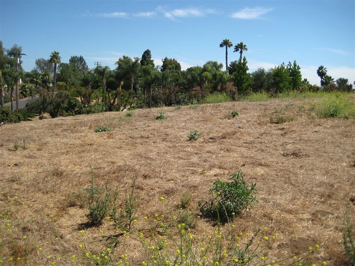 Property Photo: 0 Lorenzo Dr 61 CA 92028