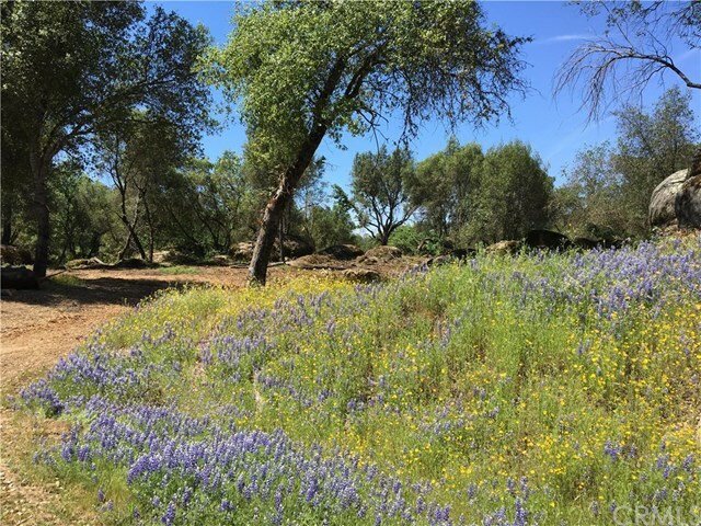 Property Photo:  4405 Lone Star Circle  CA 95338 