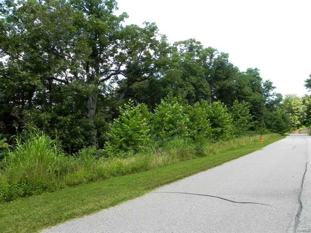 Property Photo: 1201 Diamond Valley Drive MO 63049
