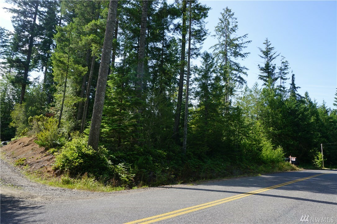 Property Photo:  0 Tahuya Blacksmith Road  WA 98588 