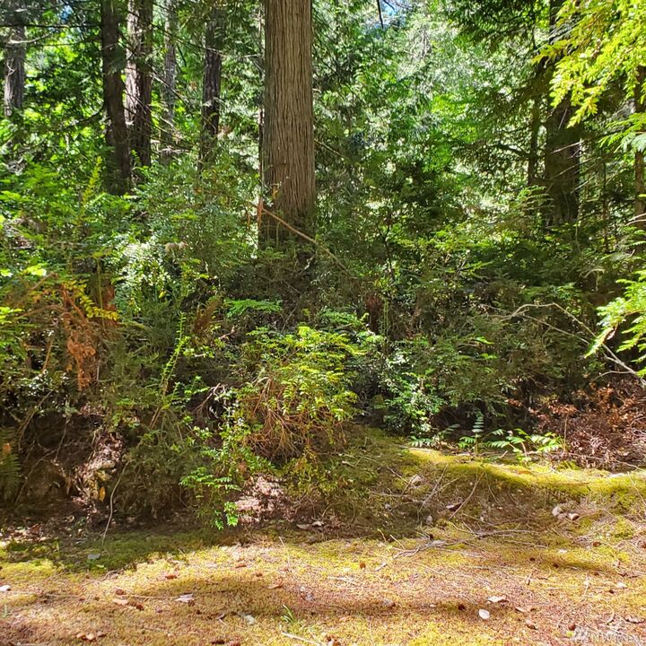 Property Photo:  638 E Pointes Dr W  WA 98584 