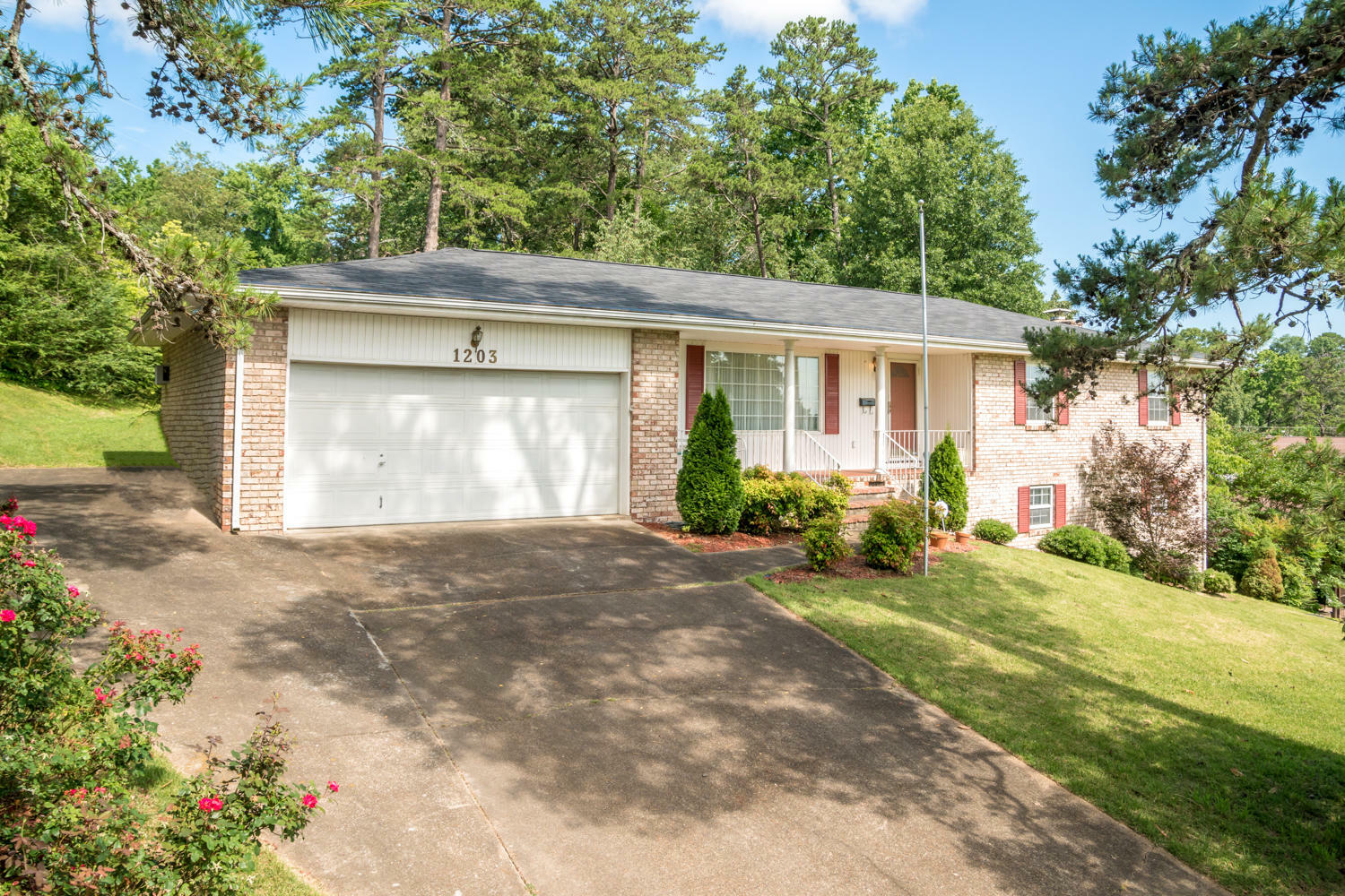 Property Photo:  1203 Forest Green Drive  TN 37412 