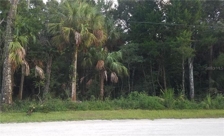 Property Photo:  11054 W Rockhaven Lane  FL 34448 