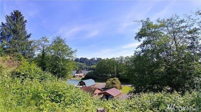Property Photo:  1040  Rayonier Street  WA 98550 