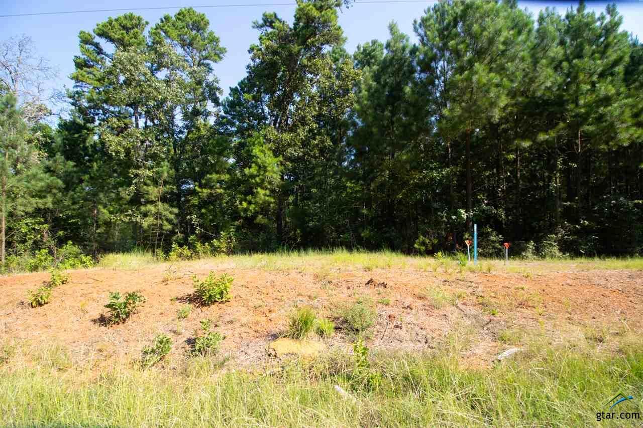 Property Photo:  Lot 7 C R 436 (Hubbard Hills)  TX 75771 