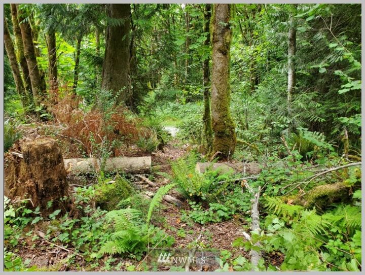 Property Photo: 294 NE 178th Place WA 98019