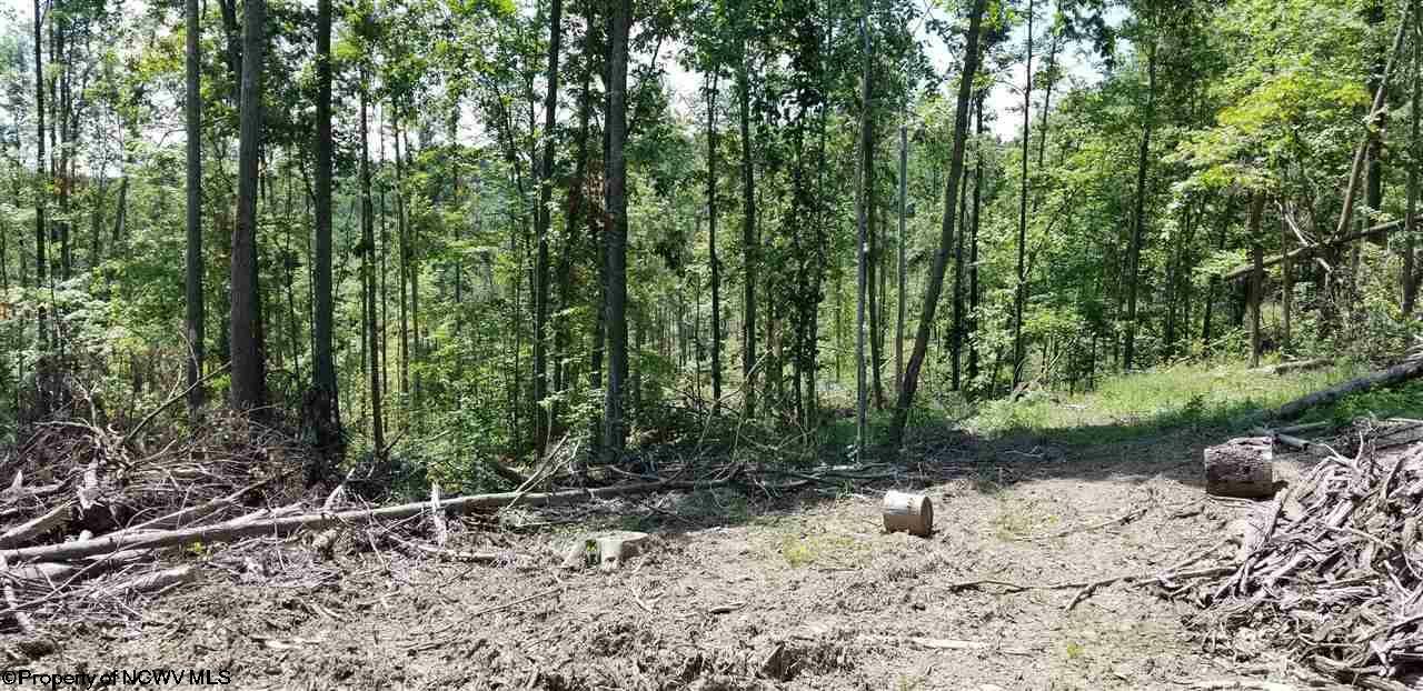 Property Photo:  4acre Halleck Road  WV 26508 