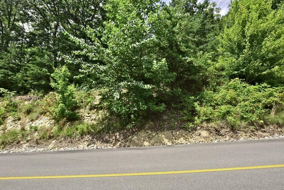 Property Photo:  Lot 121E Settlers View Lane  TN 37862 