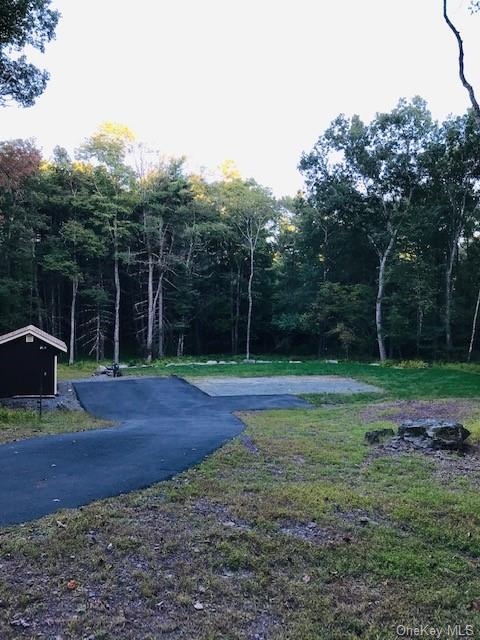 118 Beaver Brook Road  Yulan NY 12792 photo