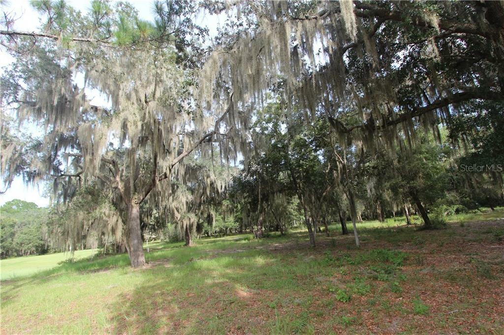 Property Photo:  Big Pine Island Drive  FL 32159 