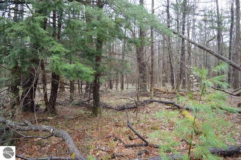 Property Photo: 00 Westwood Road MI 49659