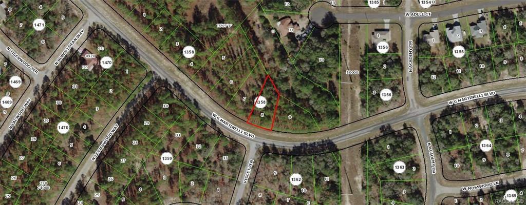 Property Photo:  1541 W G Martinelli Boulevard  FL 34434 