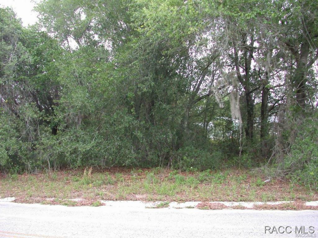 Property Photo:  1903 Milton Street  FL 34453 