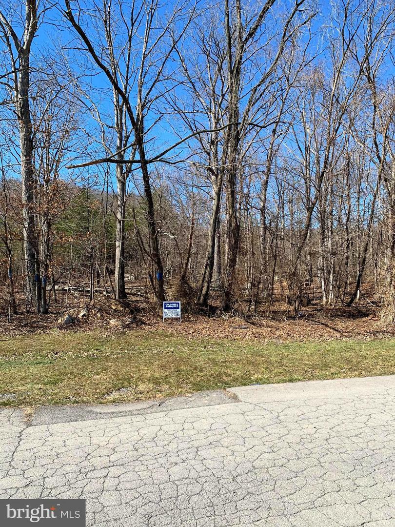 Property Photo:  Lot 42 Haines (Previously Marshall) Drive  MD 21502 