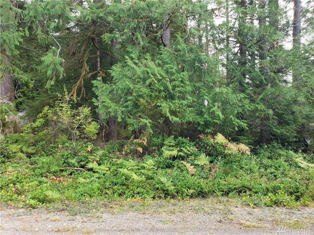 Property Photo:  Lot 23 W Blueberry Lane  WA 98541 