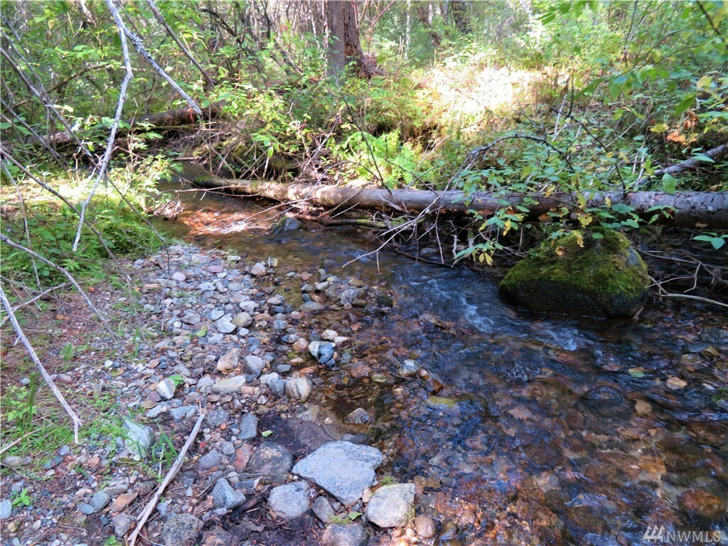 Property Photo:  Tbd Old Kettle Falls Rd  WA 99166 